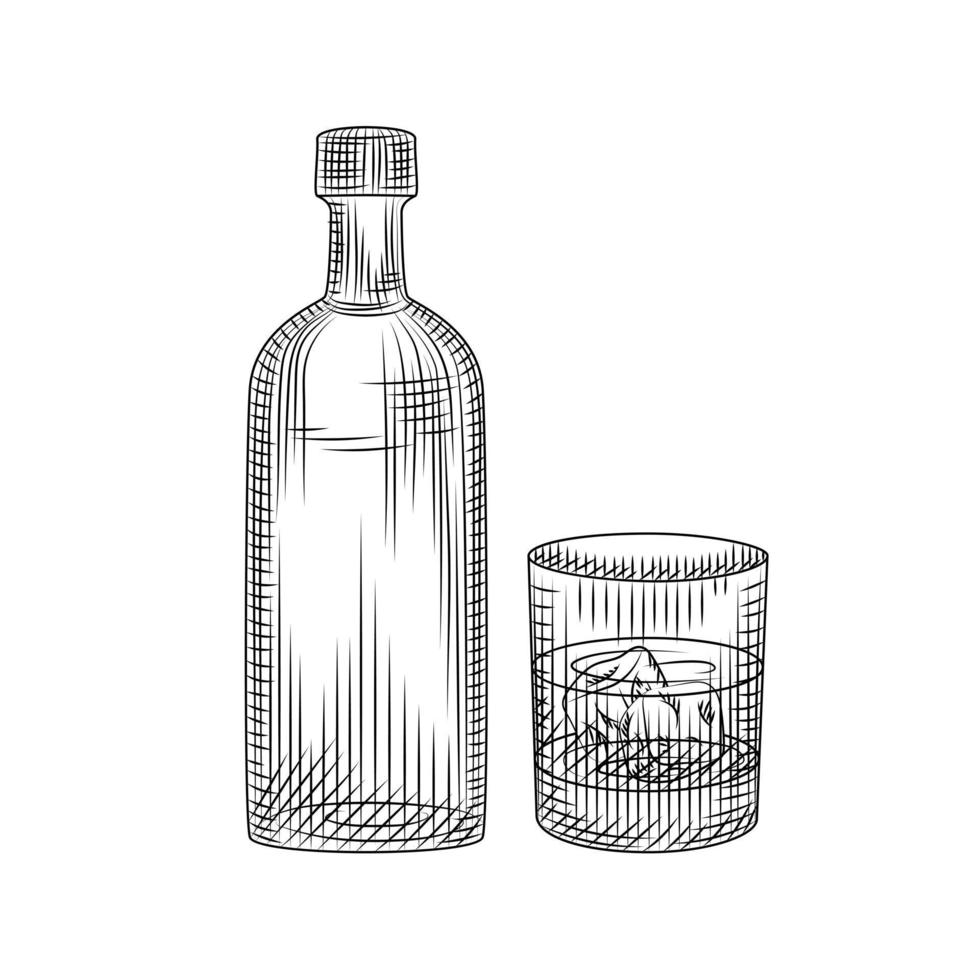 Vodlka bottle and glass isolated on white background. Hand drawn alcoholic cocktail with ice in rocks glass. vector