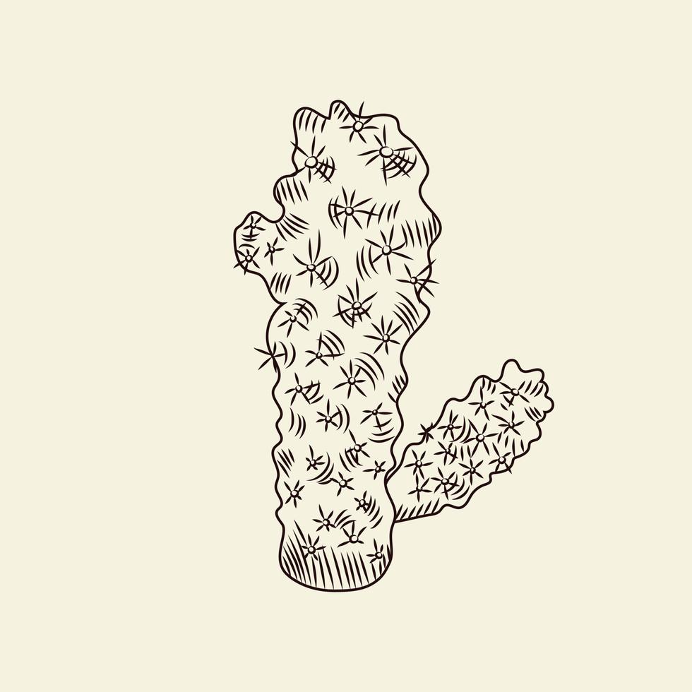 Wild cacti sketch. Mammillaria cactus isolated on light background. Engraving vintage style. vector