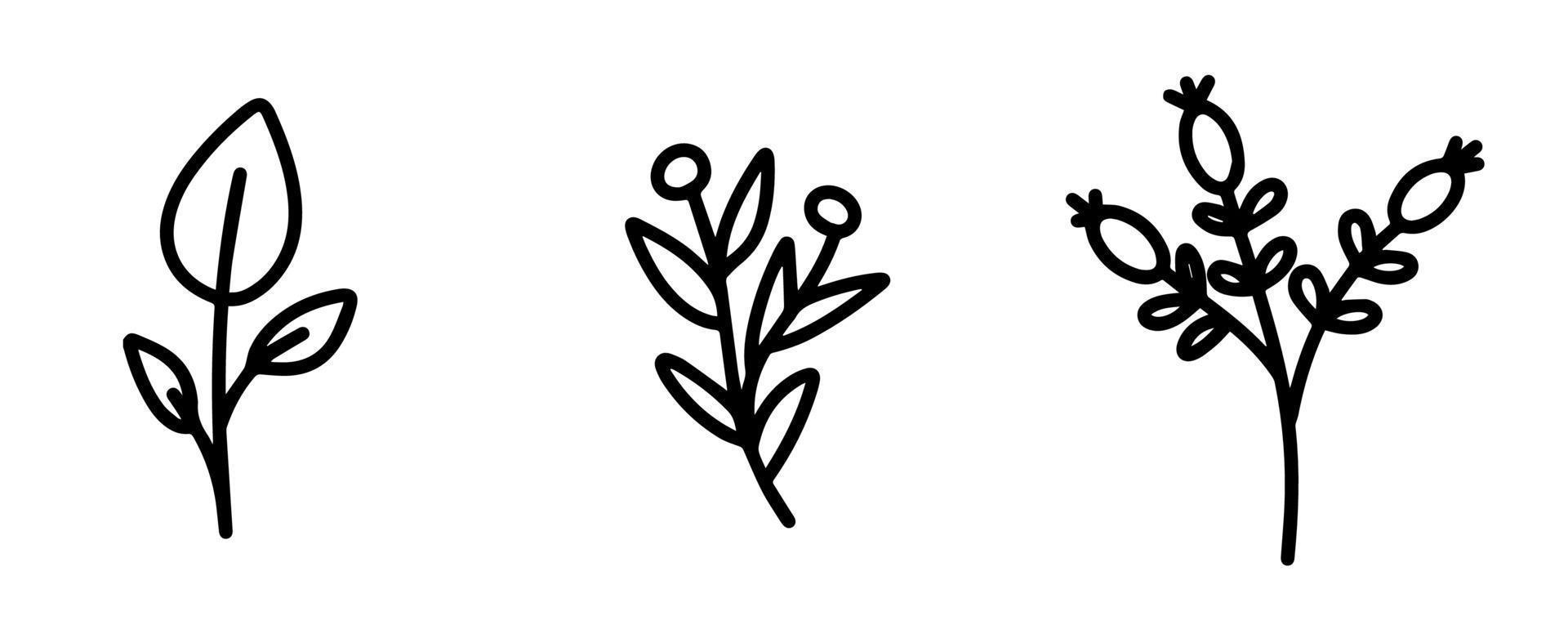 Collection of botanical elements for the design of postcards, invitations, creating logos or banners. Black and white vector flowers, berries, twigs and leaves for design. Simple, flat doodle style.