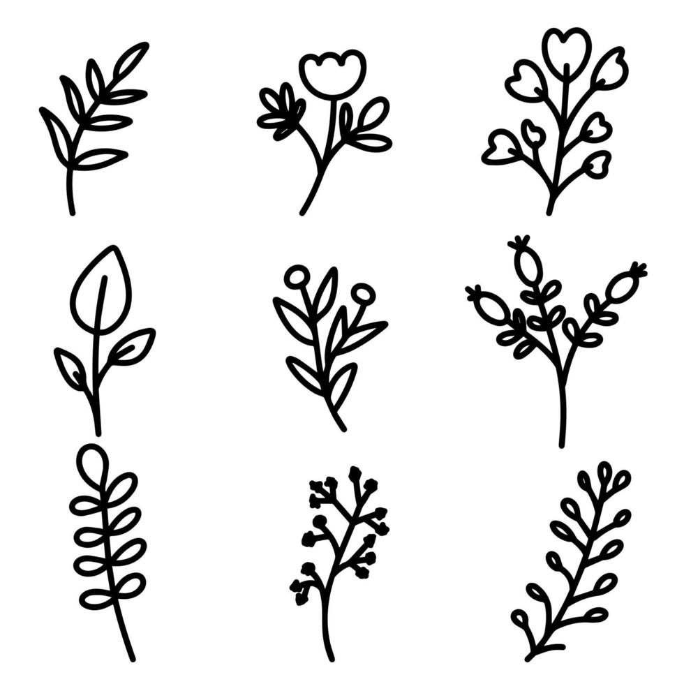 colección de elementos botánicos para el diseño de postales, invitaciones, creación de logos o pancartas. flores vectoriales en blanco y negro, bayas, ramitas y hojas para el diseño. estilo de garabato simple y plano. vector