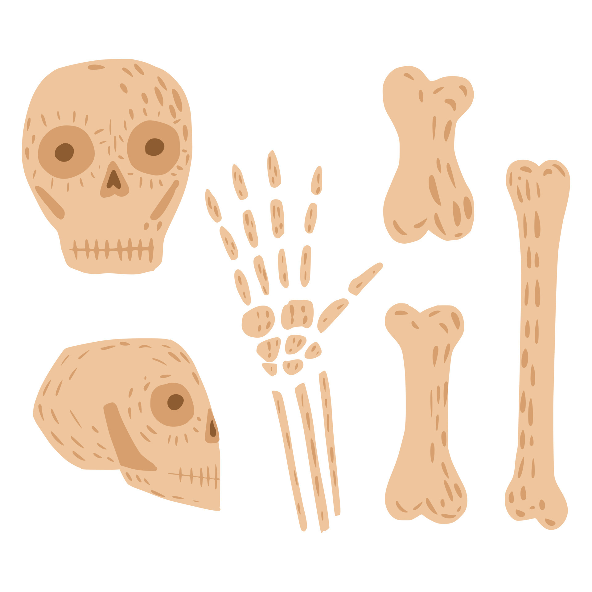 Drawing skeleton Easy Realistic Head and Step By Step