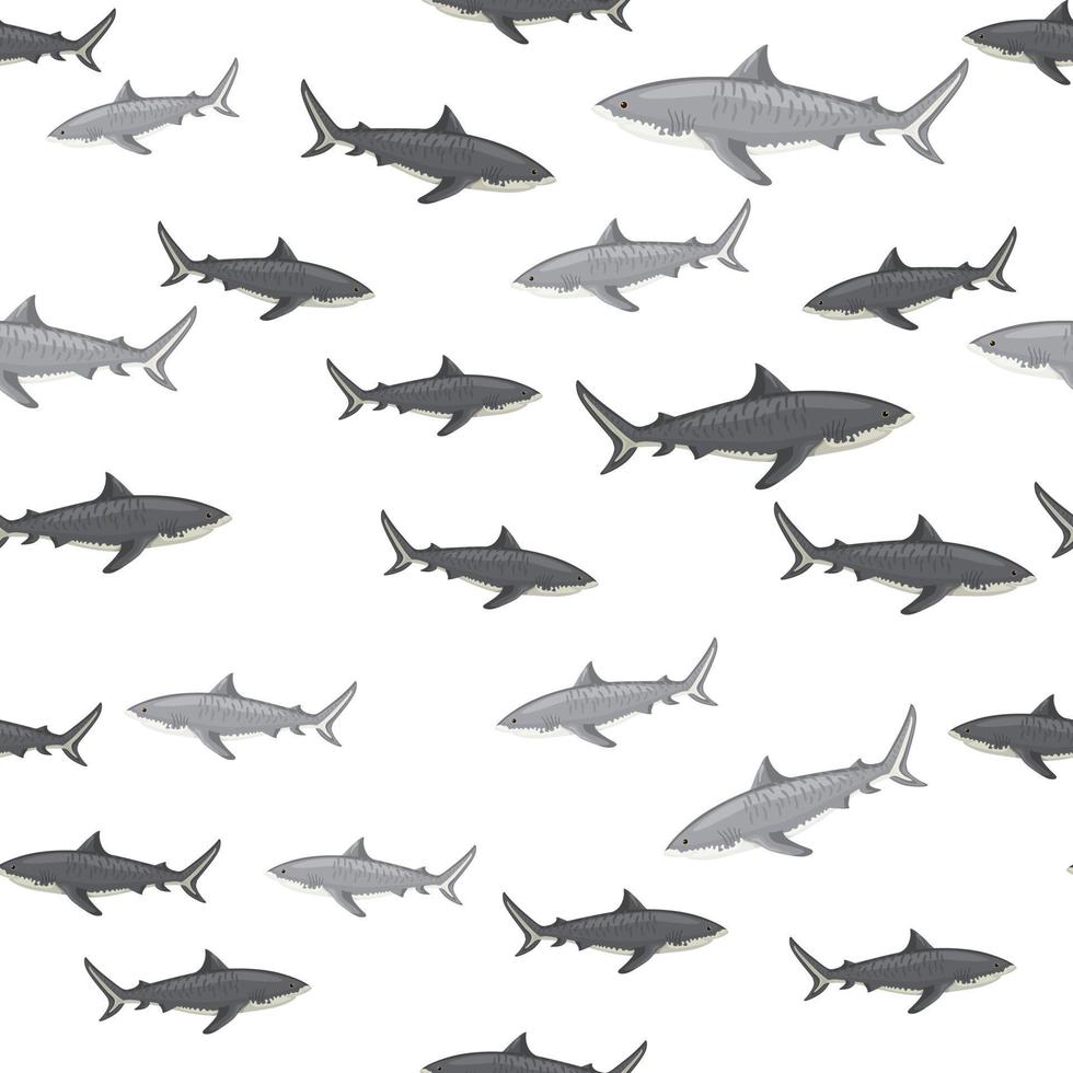 Seamless pattern Tiger shark isolated on white background. Gray texture of marine fish for any purpose. vector