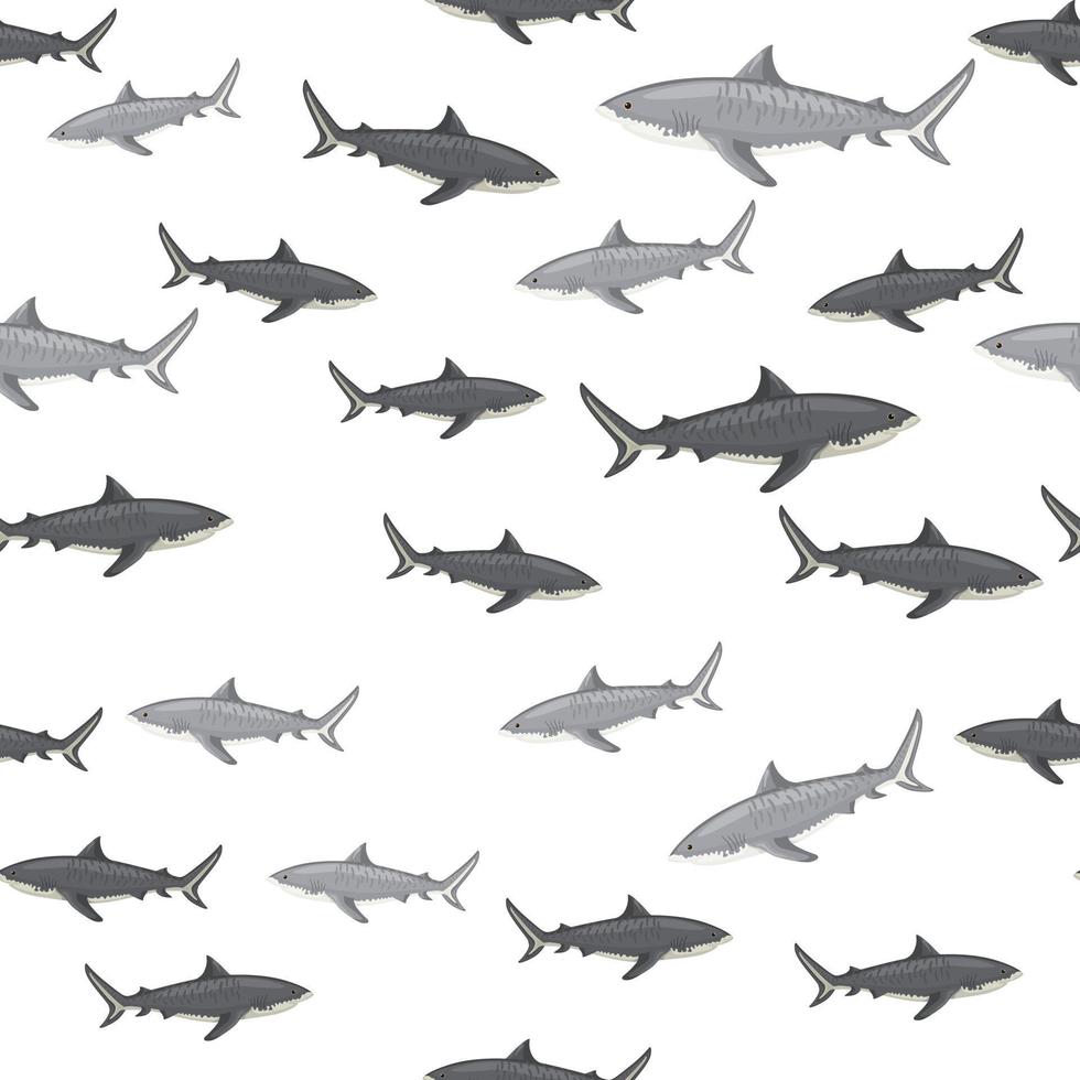 Seamless pattern Tiger shark isolated on white background. Gray texture of marine fish for any purpose. vector