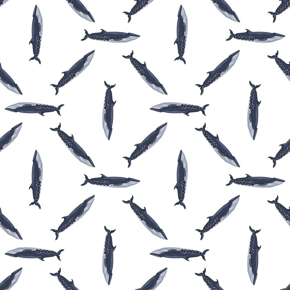 Seamless pattern sei whale on white background. Template of cartoon character of ocean for fabric. vector