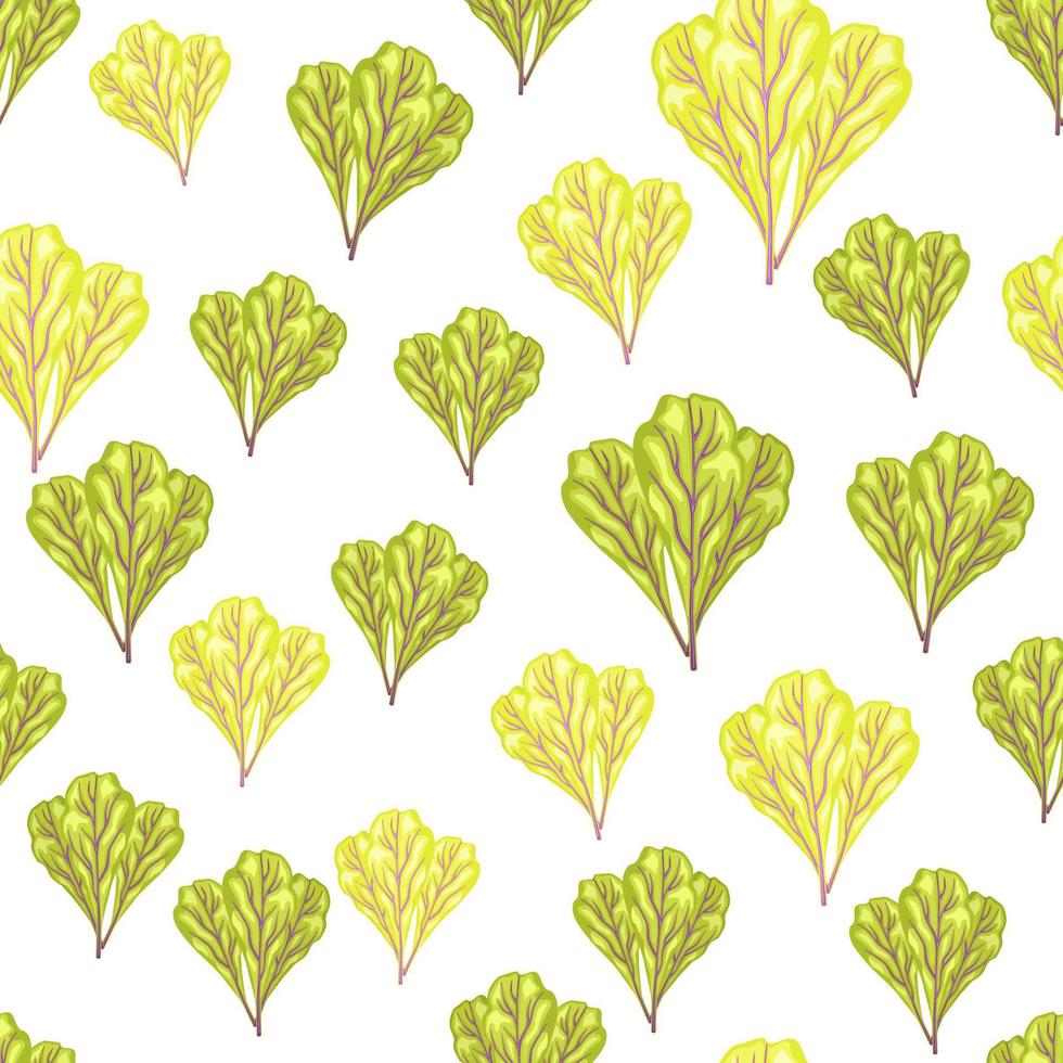 Seamless pattern bunch mangold salad on whie background. Simple ornament with lettuce. vector