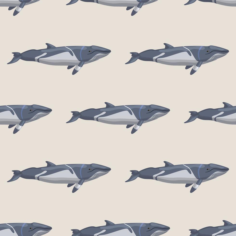 Seamless pattern lesser rorqual on beige background. Template of cartoon character of ocean for fabric. vector