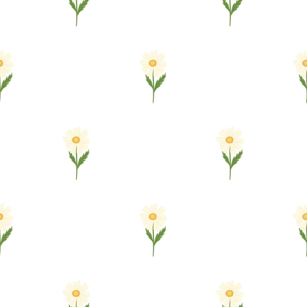 Chamomile pattern seamless in freehand style. Spring flowers on colorful background. Vector illustration for textile.