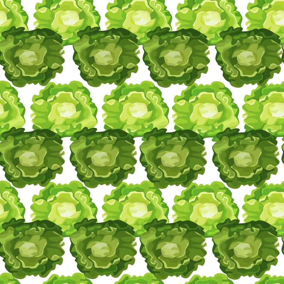 Seamless pattern Butterhead salad on white background. Simple ornament with lettuce. vector