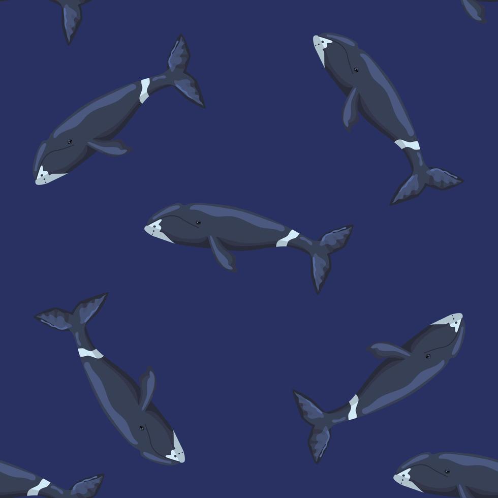 Seamless pattern Bowhead whale on dark background. Template of cartoon character of ocean for children. vector