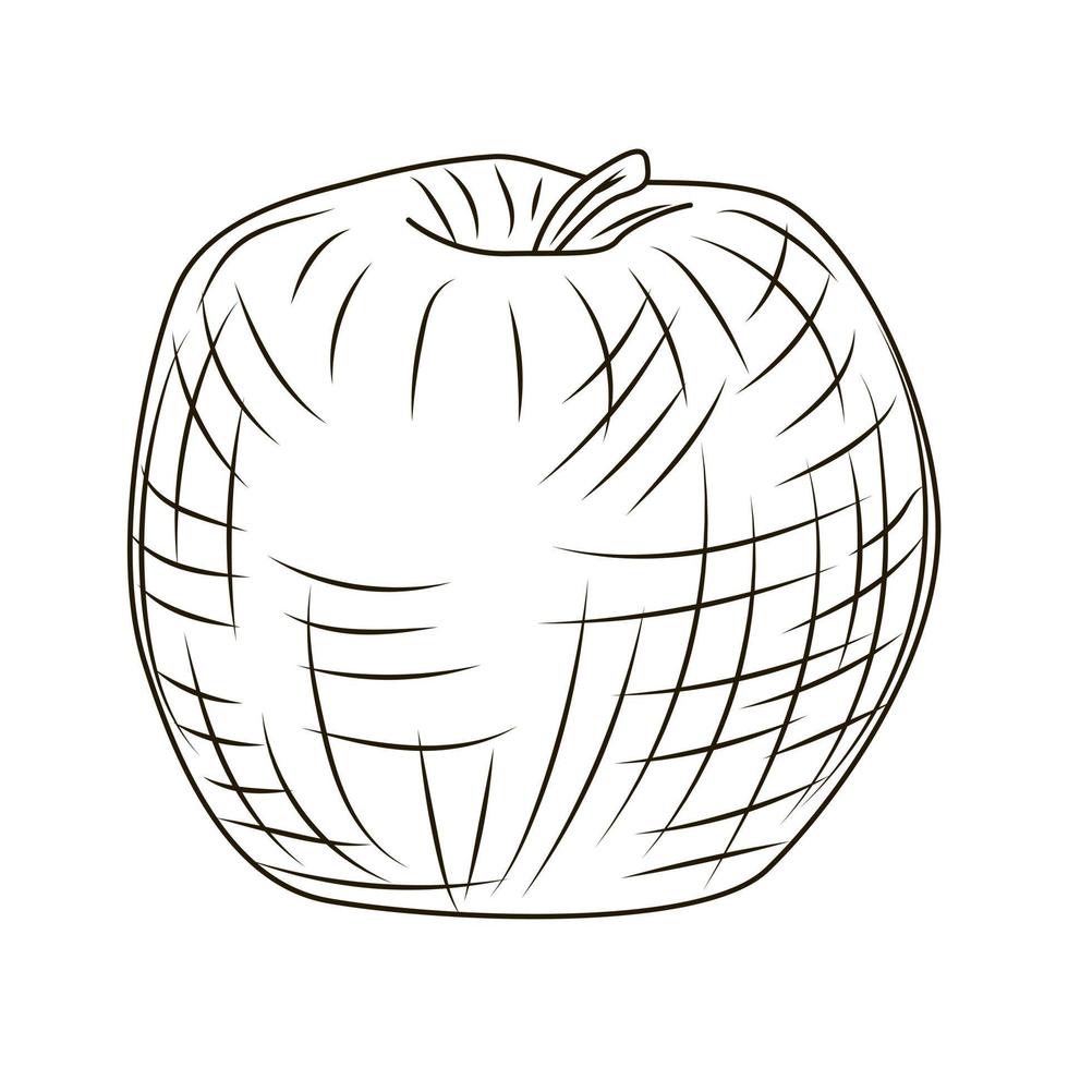 Apple en estilo grabado aislado sobre fondo blanco. bosquejo vintage contorno fruta de cerca. vector