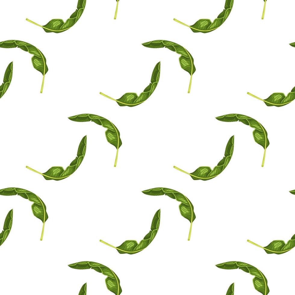 Seamless pattern banana leaf on white background. Beautiful ornament summer tropical leaf. vector