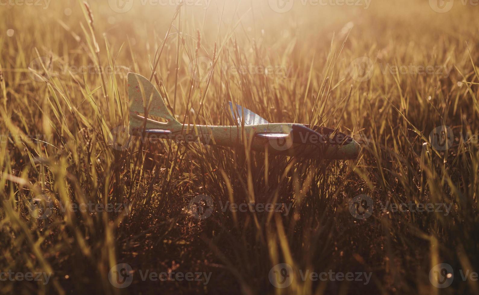 Toy plane on the grass photo