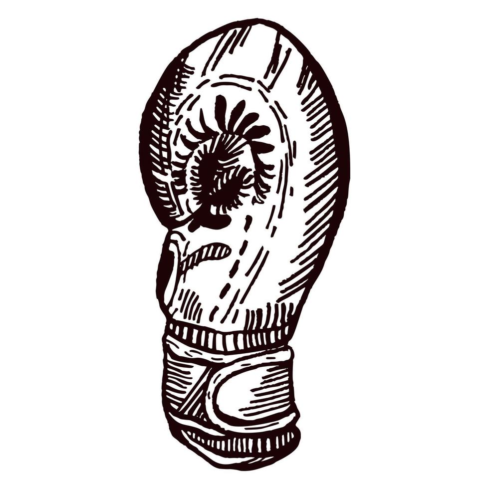 Boxing gloves side sketch isolated. Sporting equipment for boxing in hand drawn style. vector