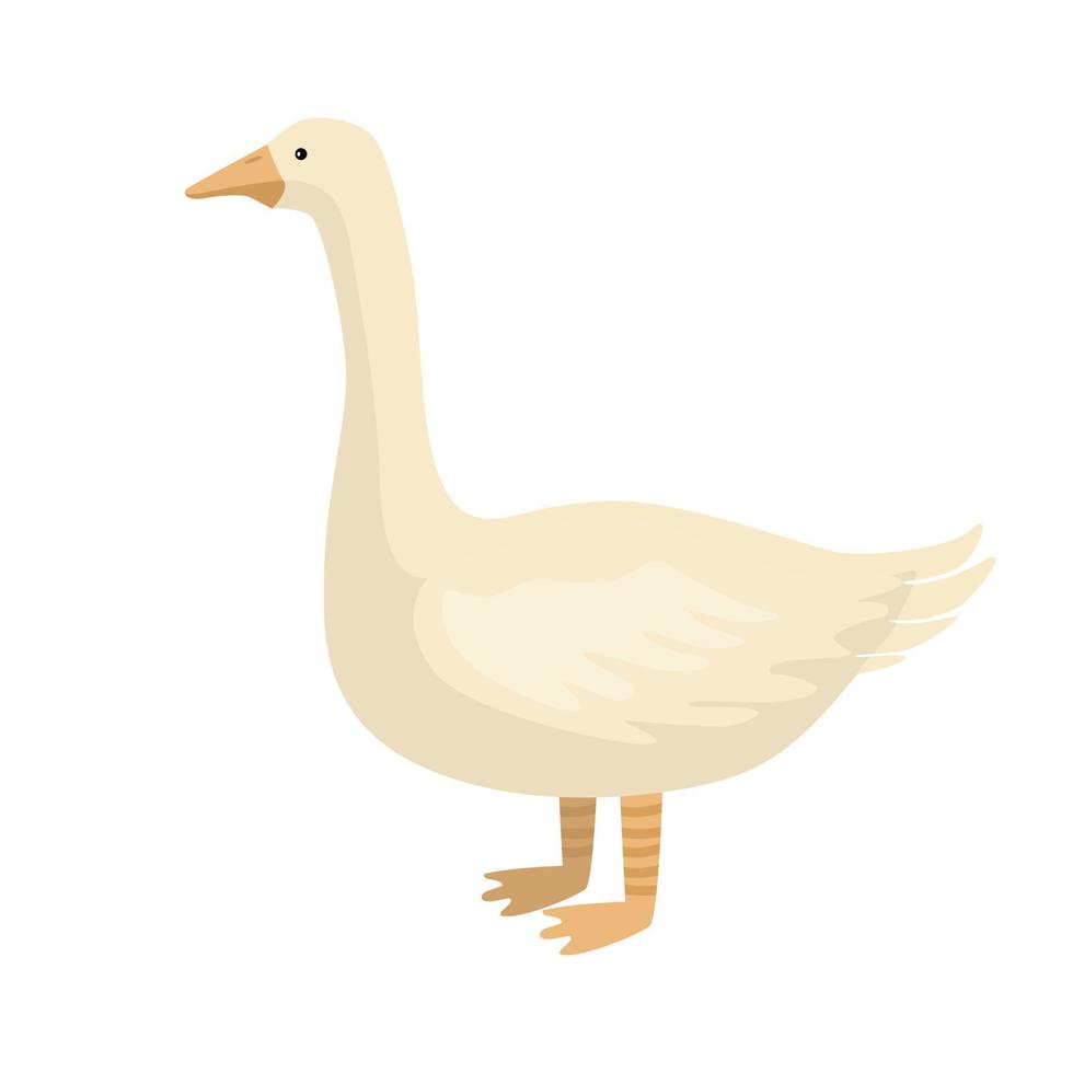 Cute goose isolated on white background. Funny cartoon character farm white color. vector