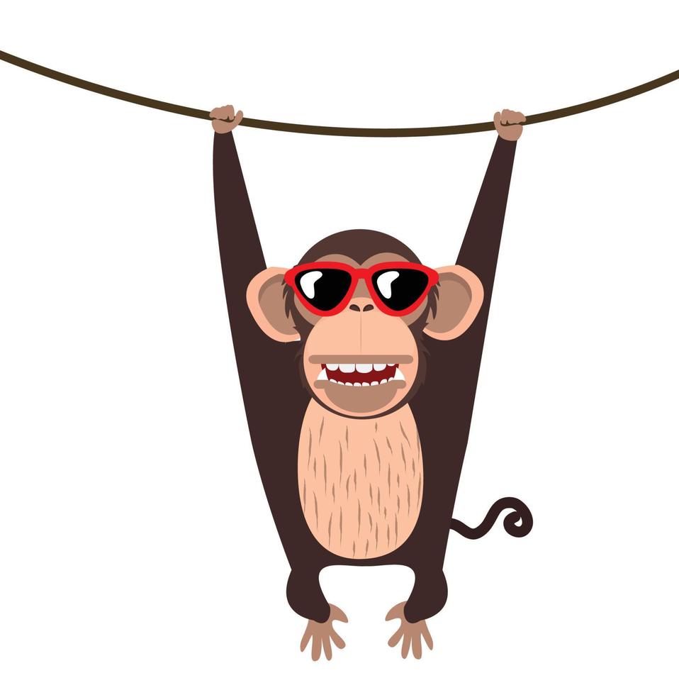 monkey climbing the vine Animal vector