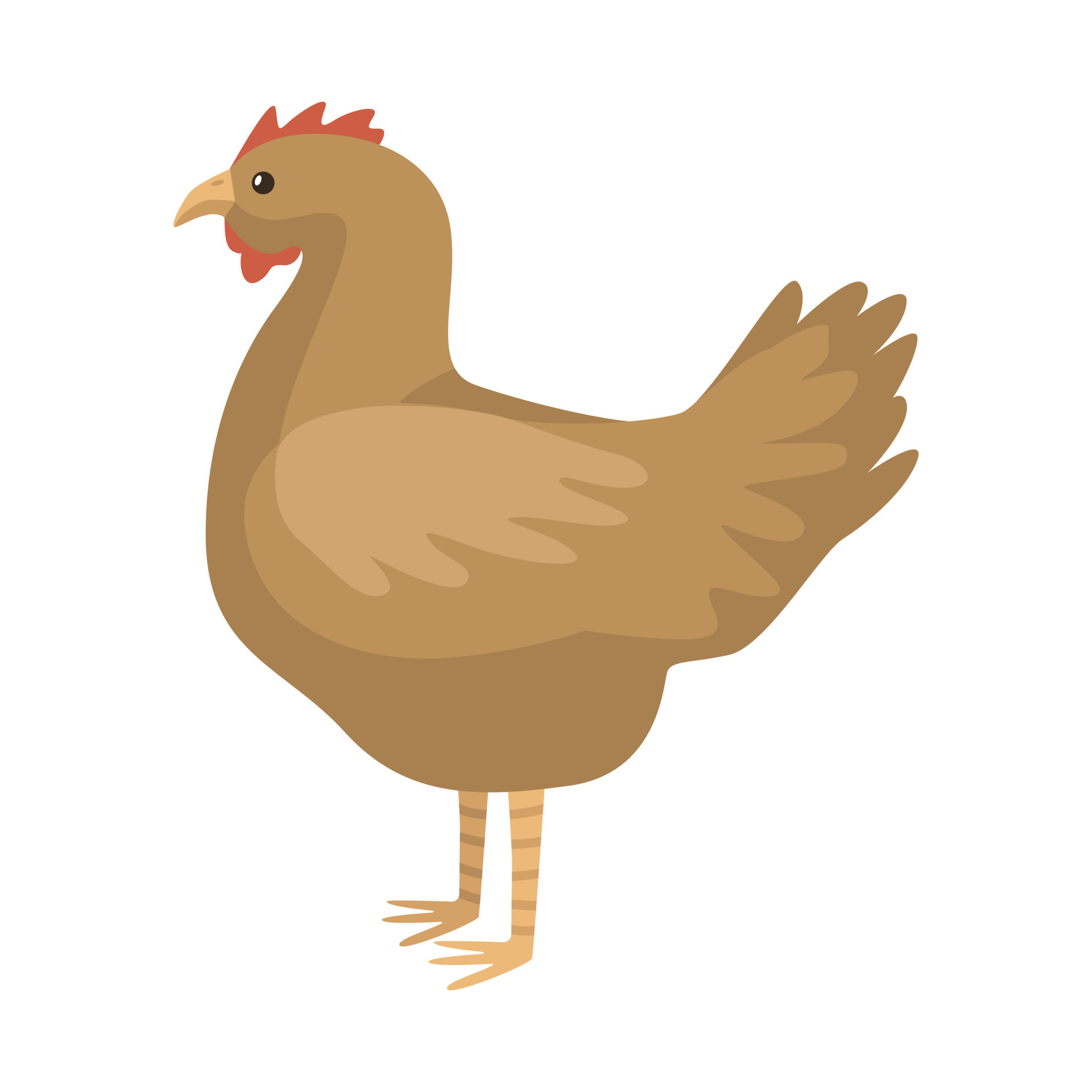 Cute hen isolated on white background. Funny cartoon character farm brown  color. 5704100 Vector Art at Vecteezy