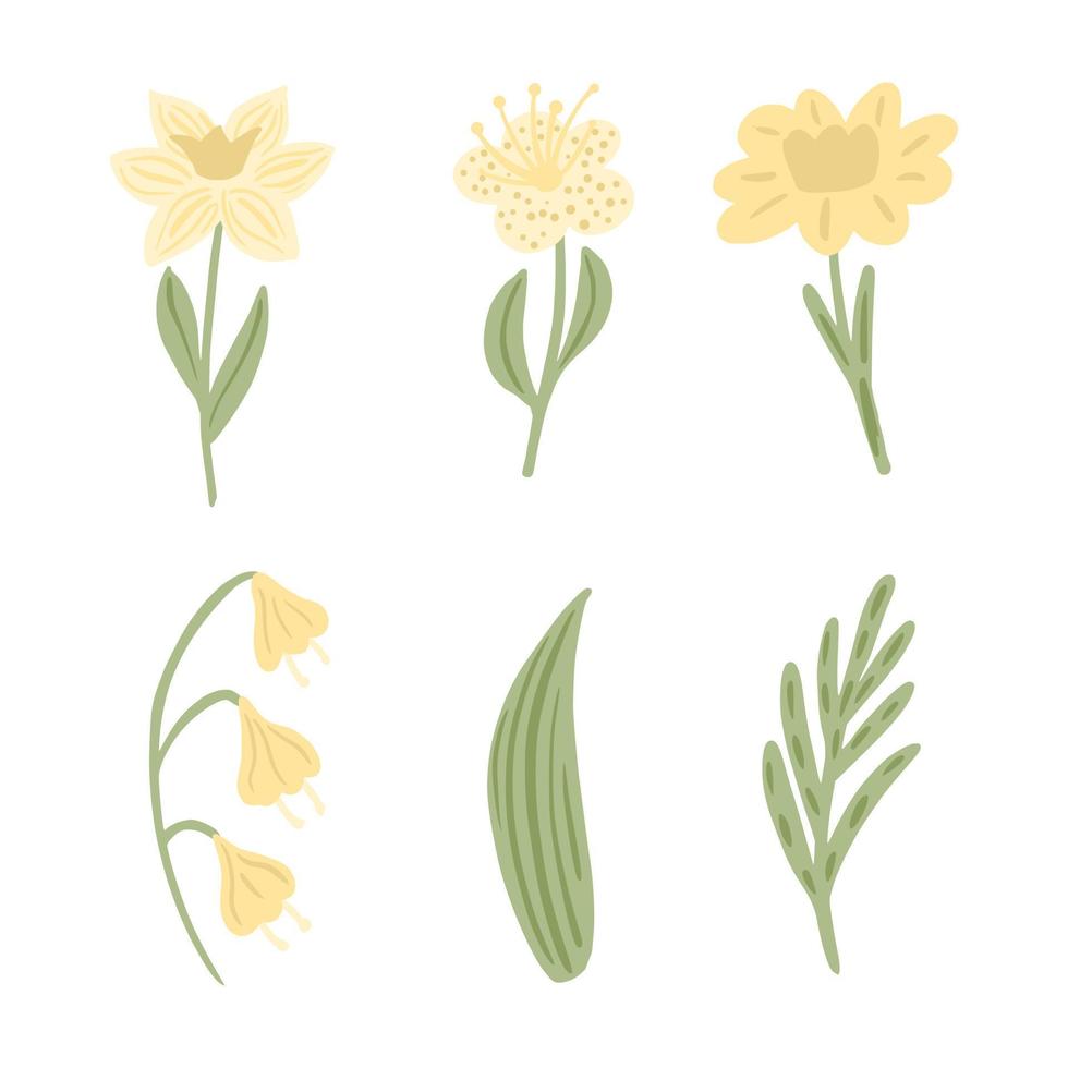 poner flores aisladas sobre fondo blanco. colección narciso, campanilla, lirio de mayo, hoja y ramita. vector