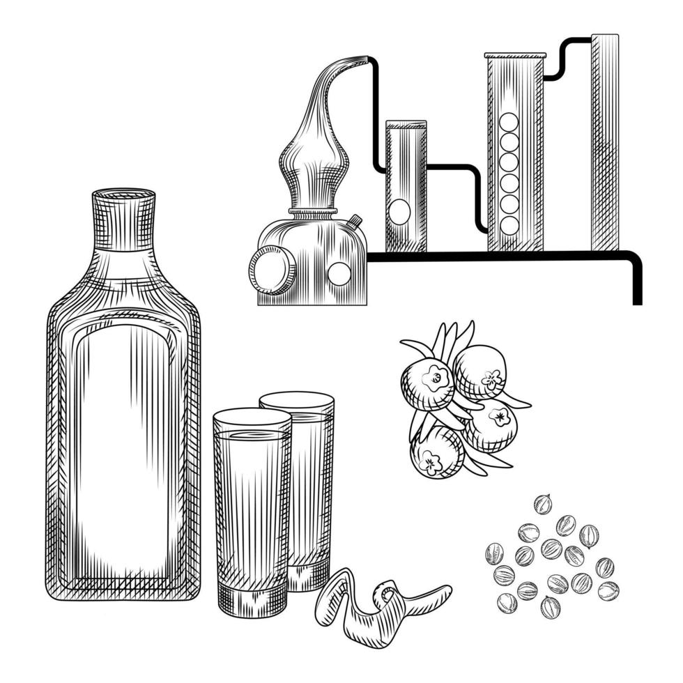 Set of gin in hand drawn style on white background.glasses with gin and tonic cocktail, alembic, coriander, lemon peel. vector