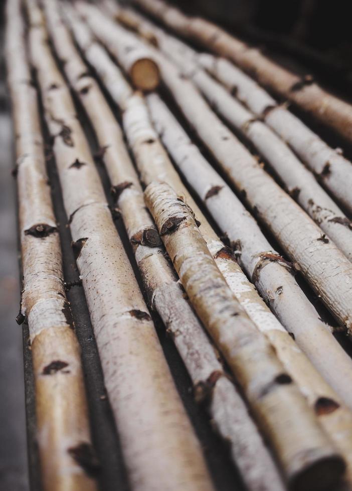 wooden birch sticks photo