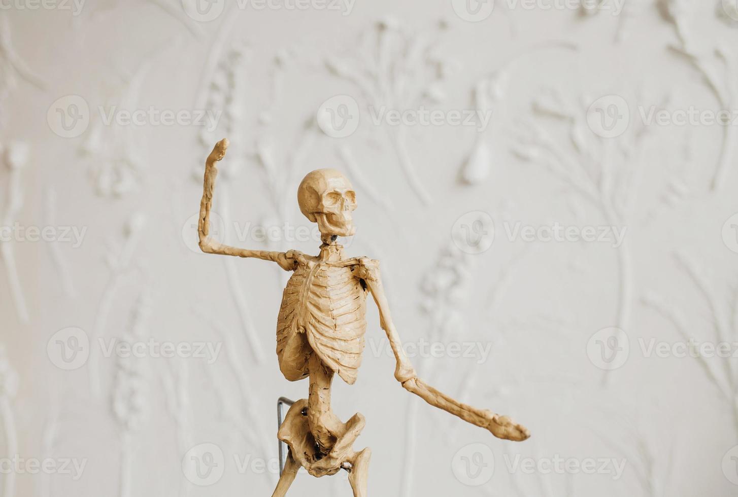 figura de esqueleto decorativa foto