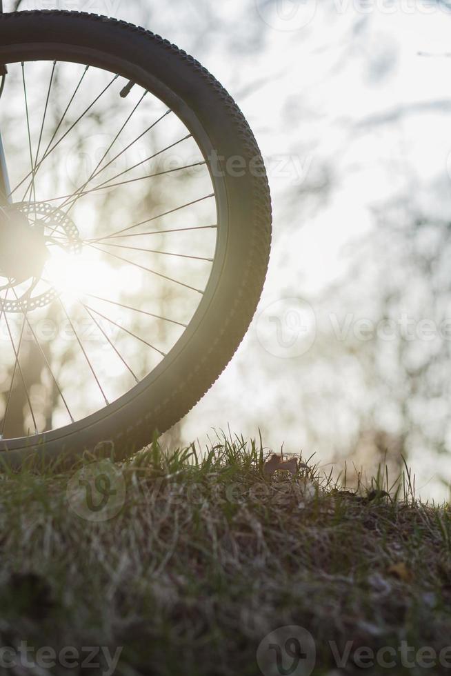 Mountain bike tire photo