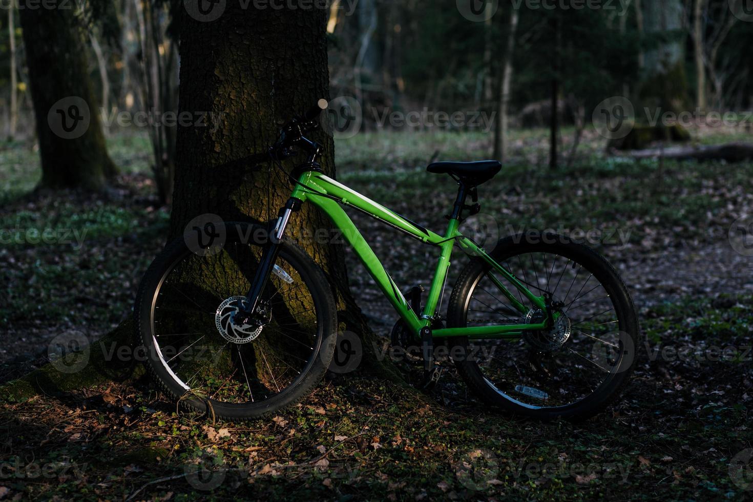 Bicycle in autumn forest photo