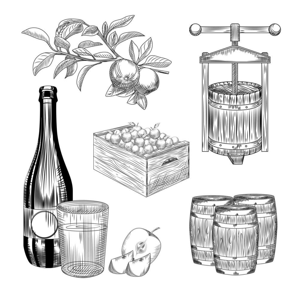 conjunto de sidra de manzana. manzana de cosecha, caja de madera, prensa, barril, vaso y botella de sidra. vector