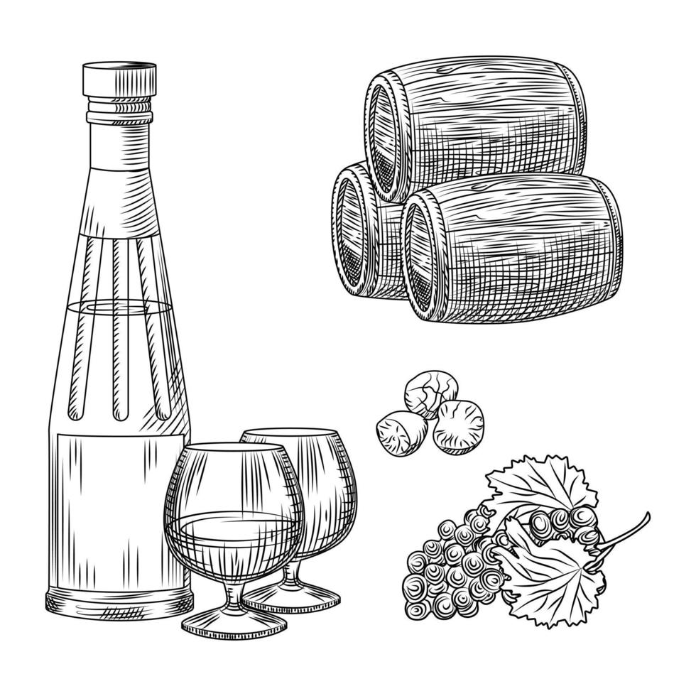 poner brandy griego en estilo retro sobre fondo blanco. colección de coñac de grecia en estilo grabado. kit alcohol uvas, barril, vaso, botella. vector