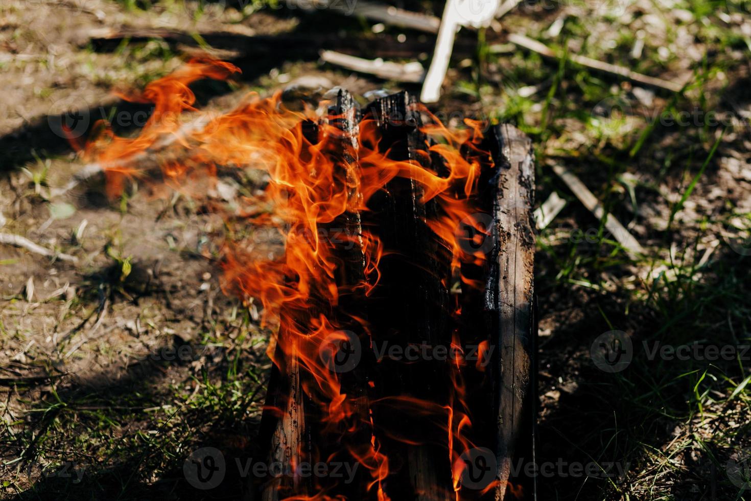 Burning firewood. fire photo