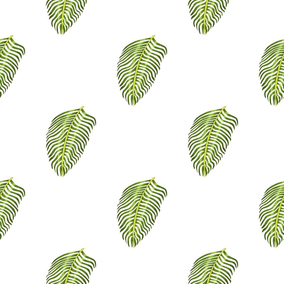 Isolated seamless botany pattern with tropical fern leaves print. White background. Exotic foliage ornament. vector