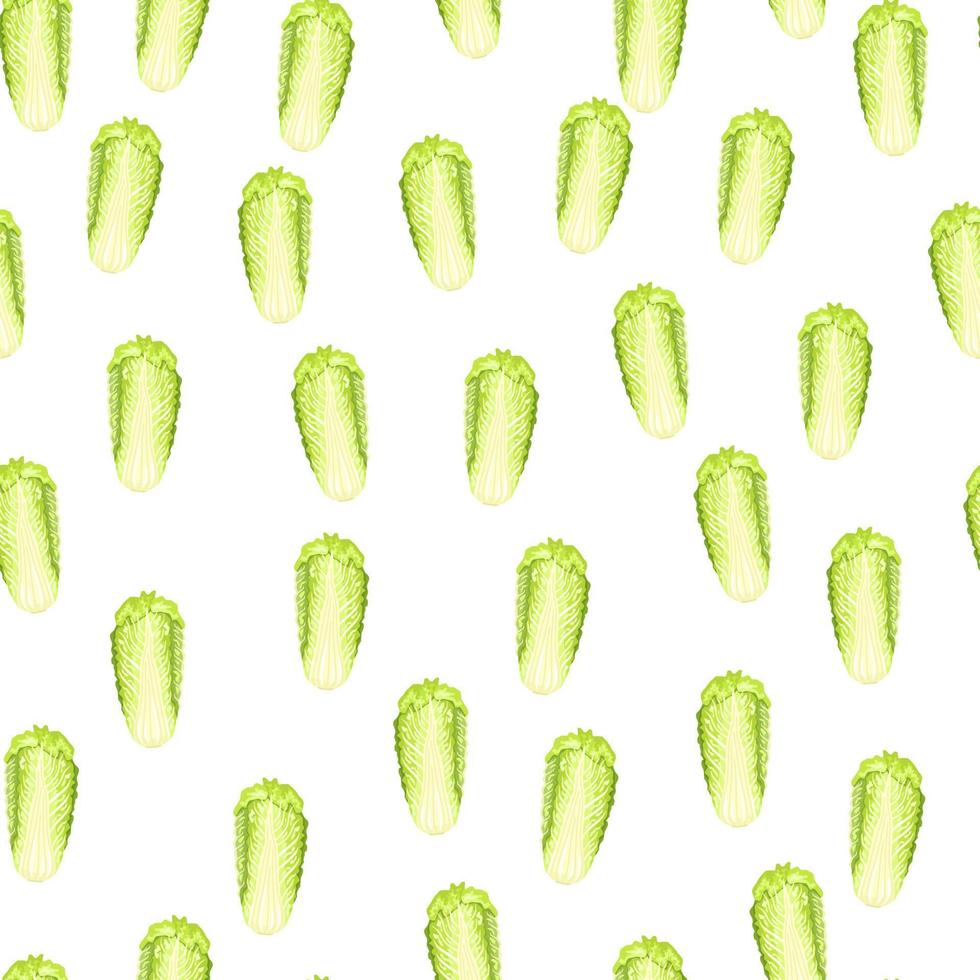 Seamless pattern Chinese cabbage on white background. Minimalism ornament with lettuce. vector