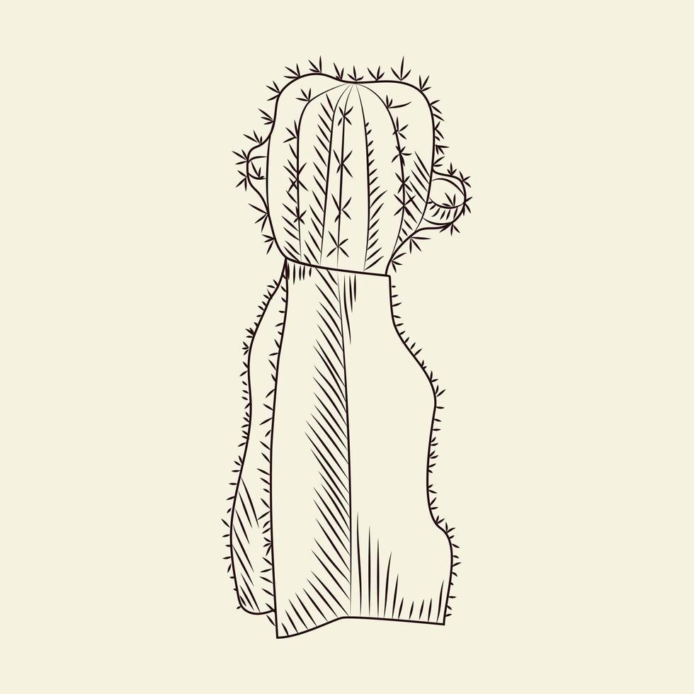 Stenocereus pruinosus cactus isolated on light background. Wild cacti sketch. vector