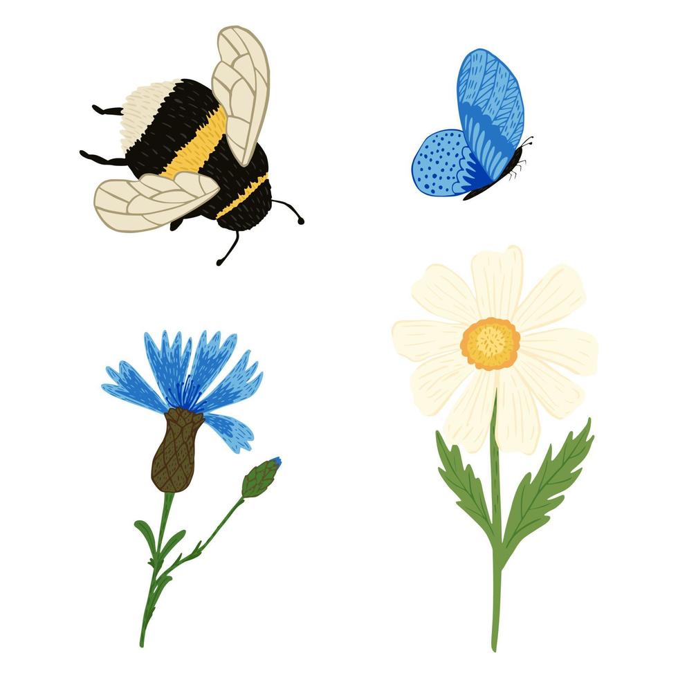 Set bumblebee, butterfly and flowers on white background. Abstract botanical chamomile and cornflower with blue butterfly and bumblebee in doodle style. vector