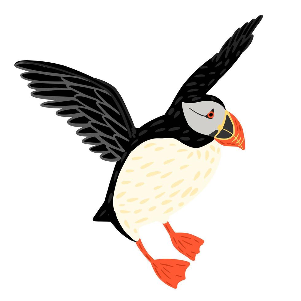 Puffin flying isolated on white background. Cute seabird lives by the ocean, has black and white color, has orange beak and legs. In doodle style vector