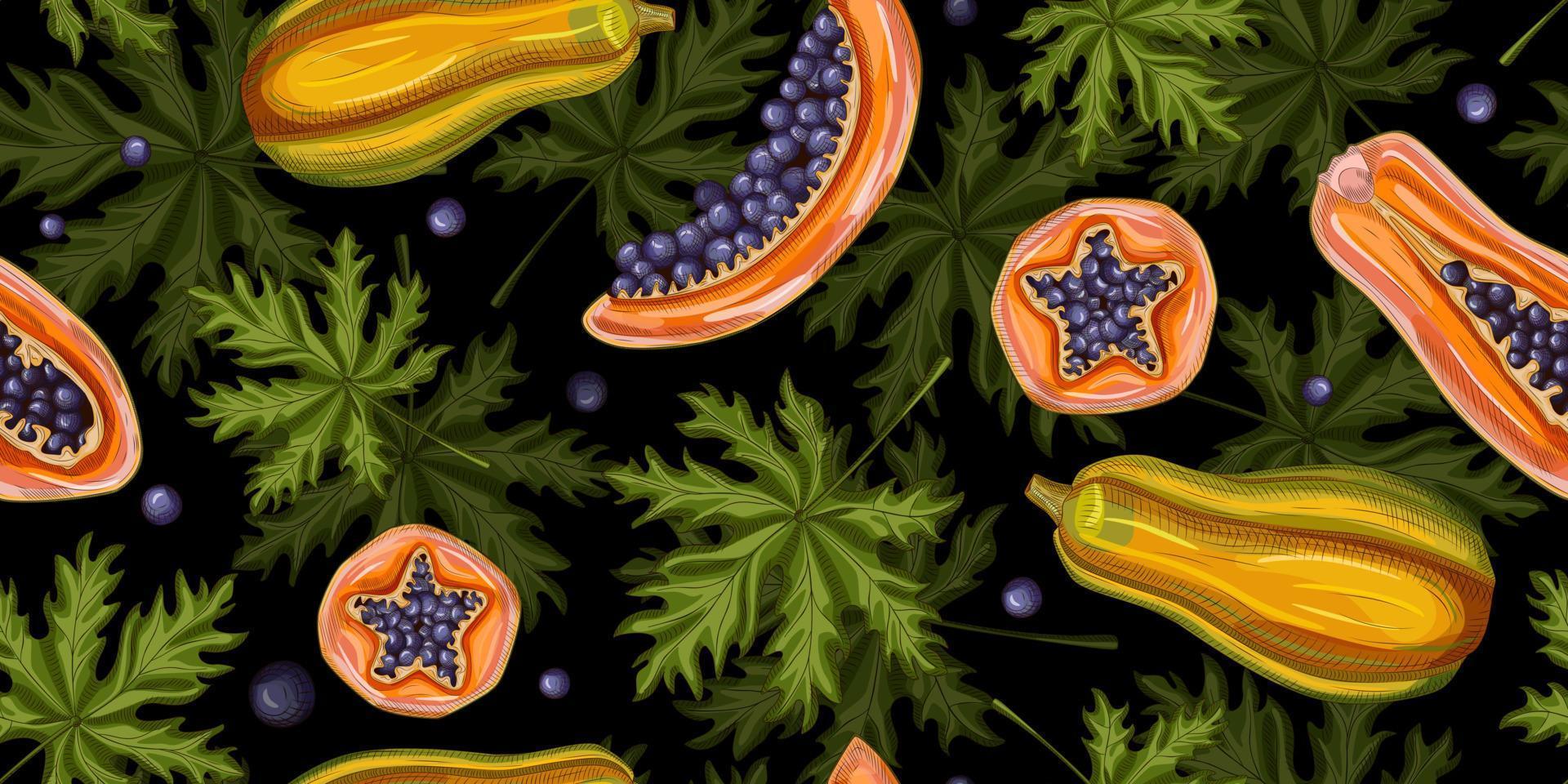 Papaya fruit seamless pattern on black background.Retro tropical plants in engraving style. vector
