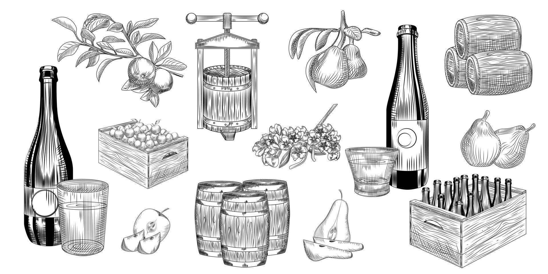 conjunto de sidra de pera y manzana. cosecha de peras, manzanas, prensa, barril, vaso y botella de sidra. vector