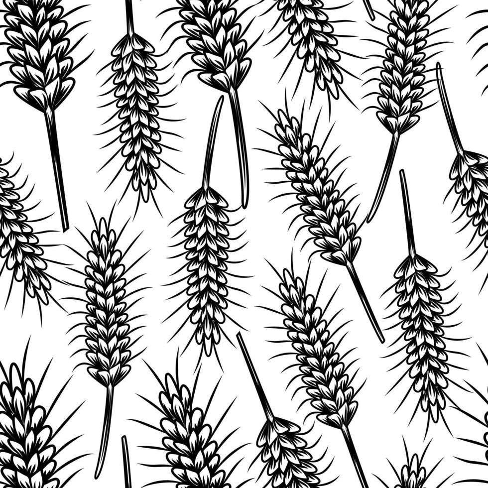 Vintage sketch with wheat seamless pattern. Wheat, rice, oat, barley vector illustration.