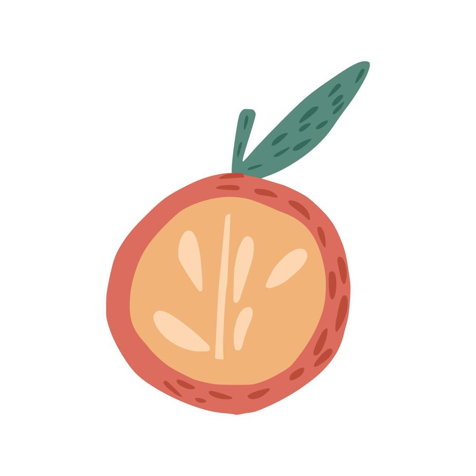 media manzana roja con ramitas y hojas aisladas en fondo blanco. manzana con semillas dibujadas a mano en estilo garabato. vector