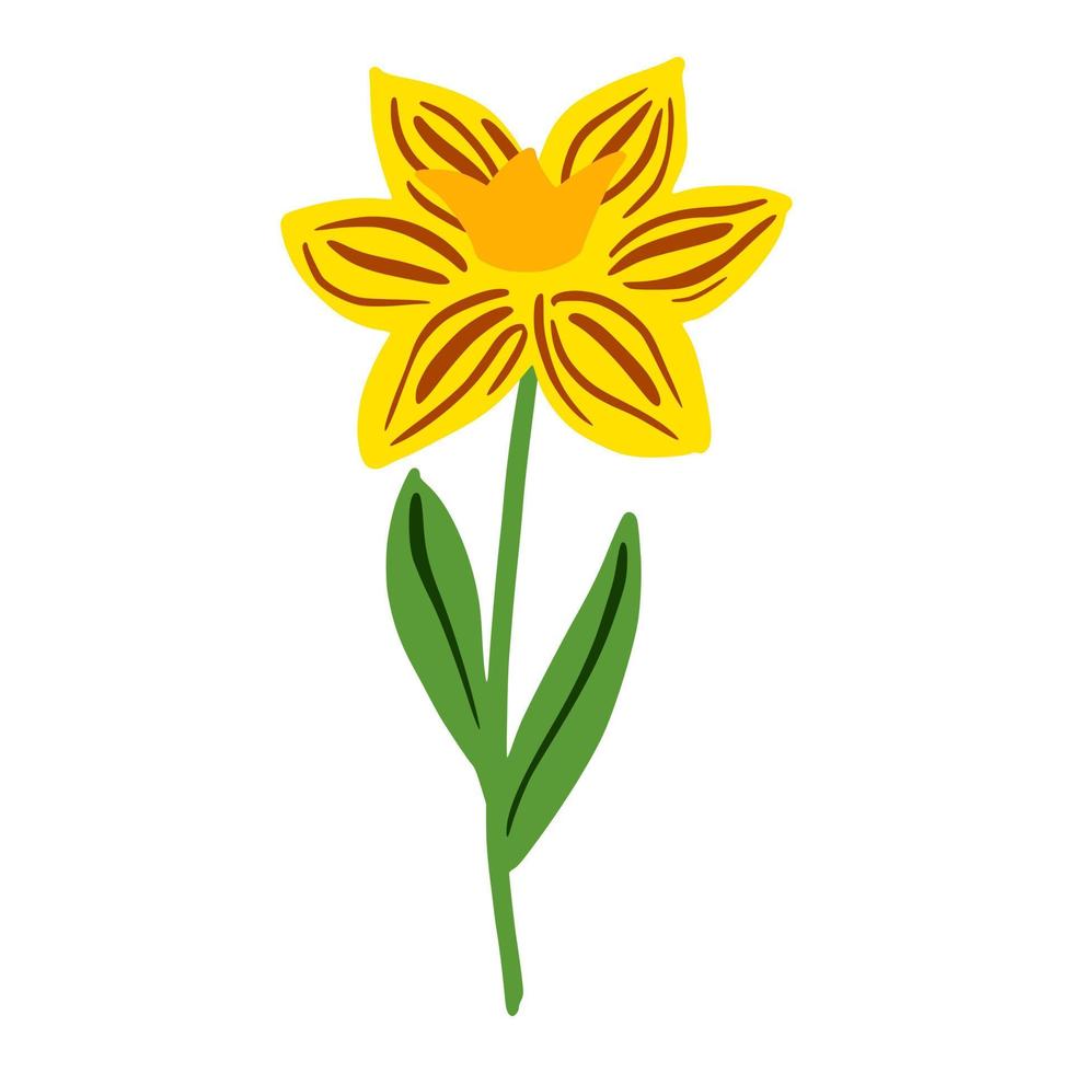 Daffodil isolated on white background. Beautiful hand drawn botanical sketch flower for any purpose. vector