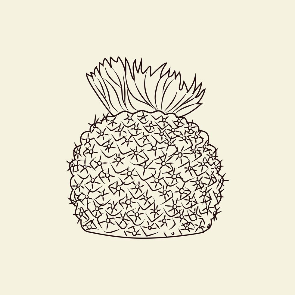 cactus rubesia aislado sobre fondo claro. boceto de cactus silvestres. grabado de estilo vintage. vector