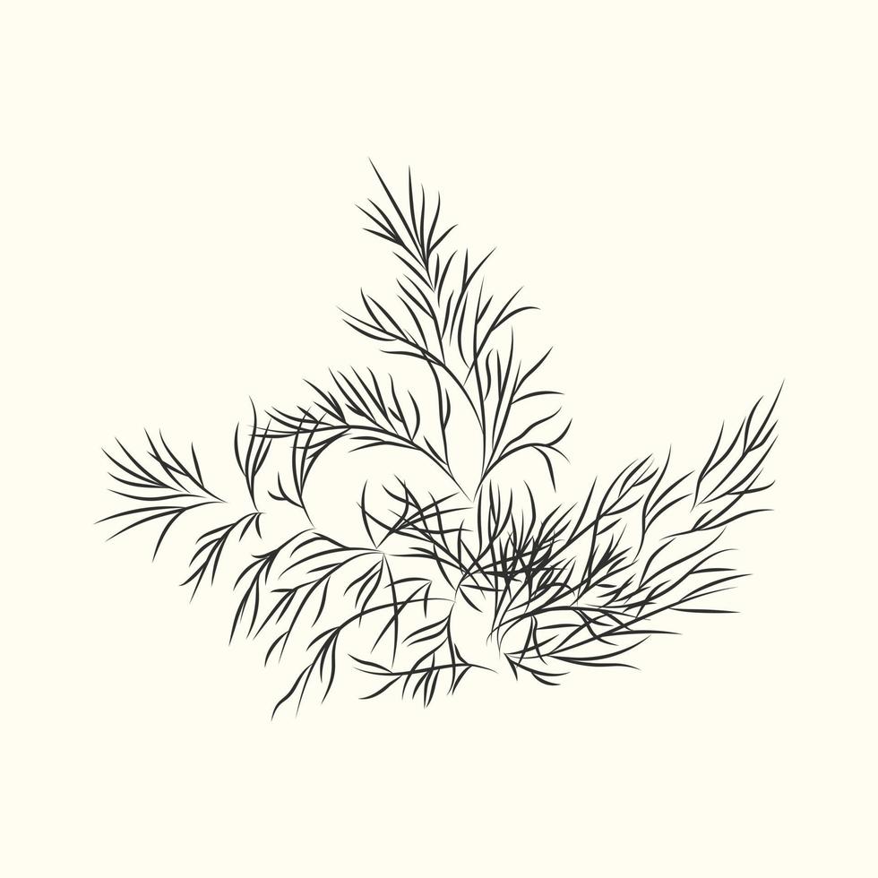 Dill herb branch ink sketch isolated. Monochrome food ingredient. vector