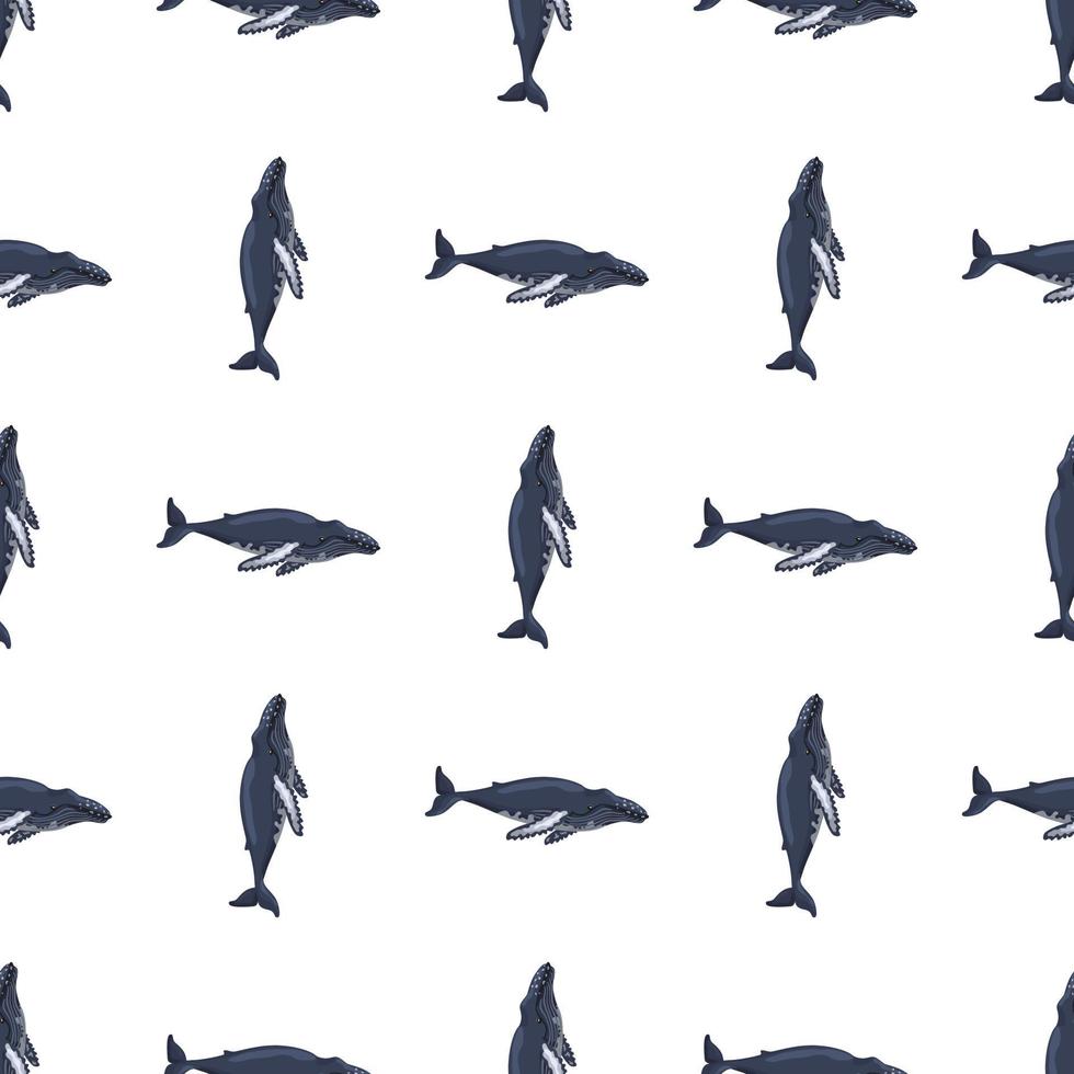 ballena jorobada de patrones sin fisuras sobre fondo blanco. plantilla de personaje de dibujos animados del océano para niños. vector