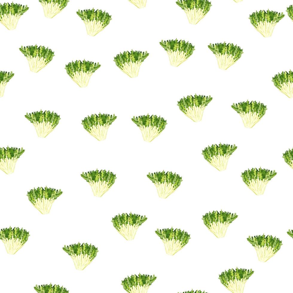 Seamless pattern frisee salad on white background. Simple ornament with lettuce. vector