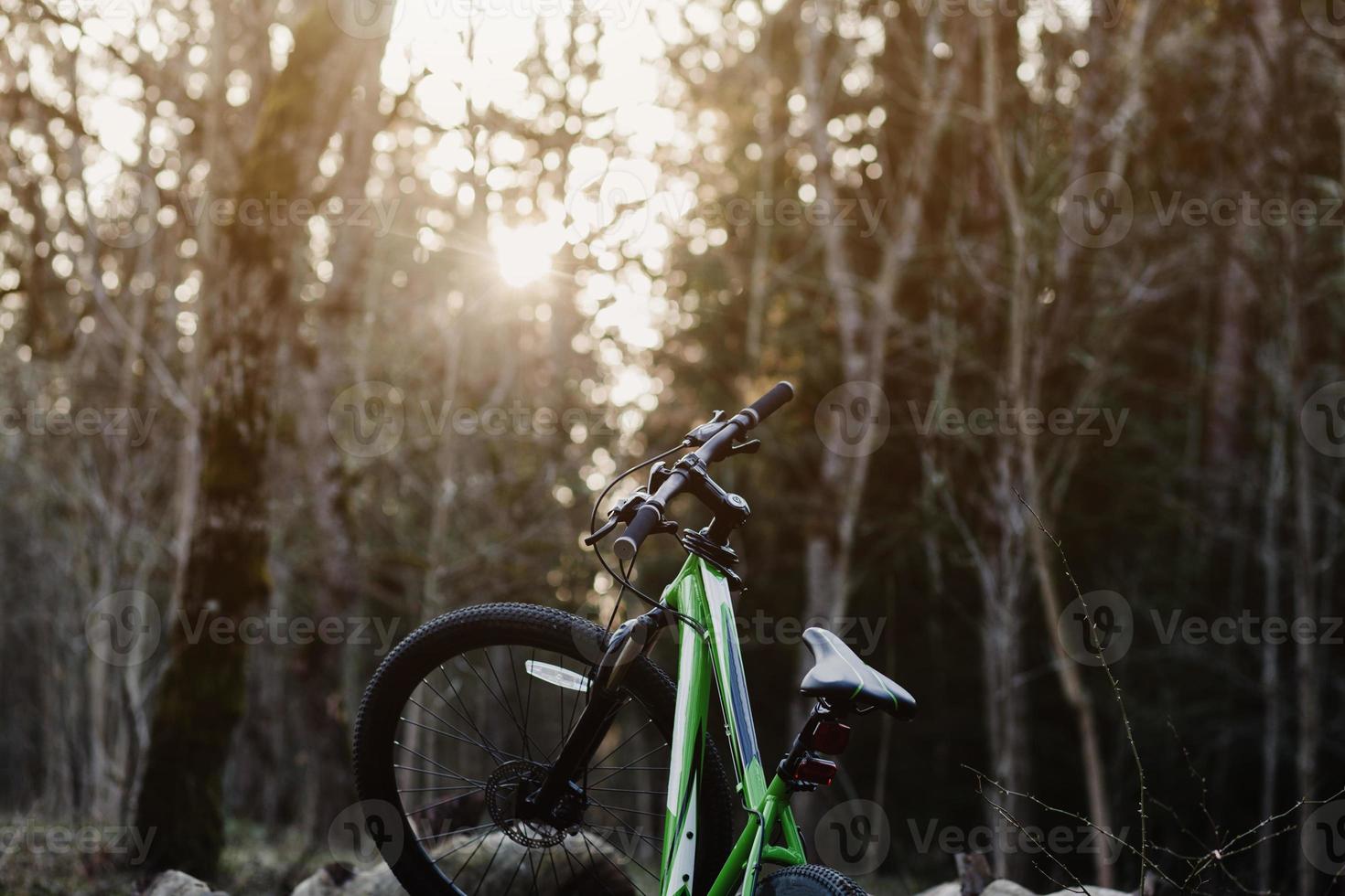 mountain bike in forest photo