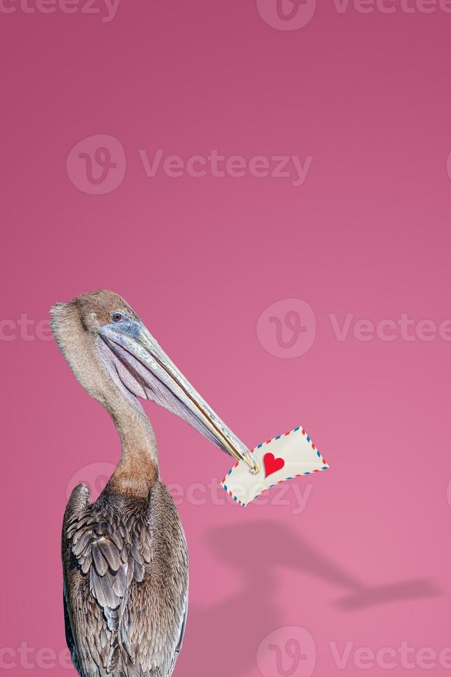 Cover page with a pelican holding in its beak a love letter with red heart at gradient pink or rosy background with copy space for text. Concept of love, dating and glamour. photo