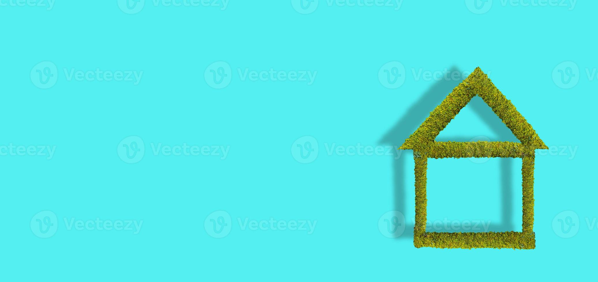 Banner with mossed and lichened green wet forest tree symbolic house isolated at turquoise background with copy space and shadow. photo