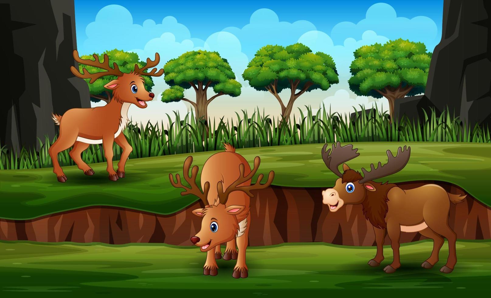 Cartoon reindeer with moose in the green nature vector