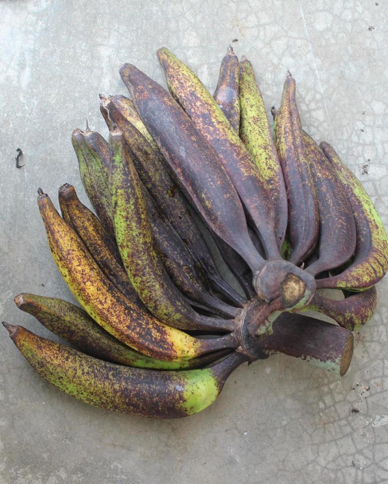 Banana horn from the garden photo