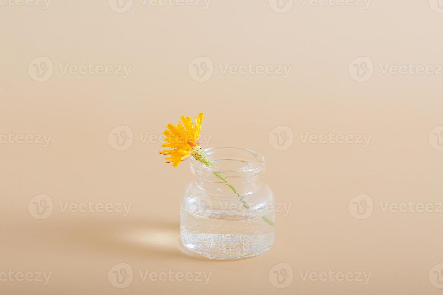 miniature yellow wildflower in a glass bottle on a solid background. Nature minimalistic concept photo