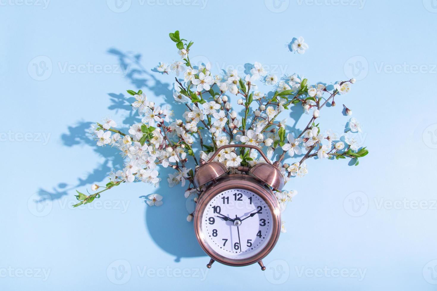 Alarm clock and blossom branches on a blue background. Flat lay, top view composition photo